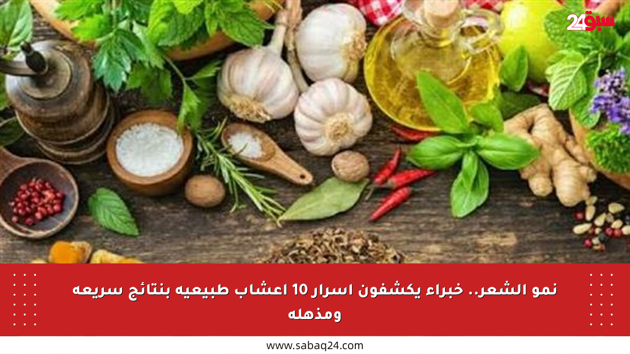 نمو الشعر.. خبراء يكشفون أسرار 10 أعشاب طبيعية بنتائج سريعة ومذهلة